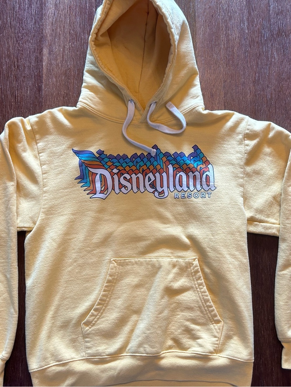 Disneyland Resort Disney Parks Retro Rainbow Logo Hoodie Yellow Unisex Small